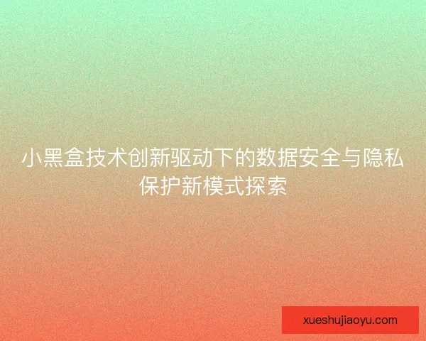 小黑盒技术创新驱动下的数据安全与隐私保护新模式探索