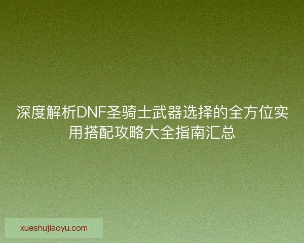 深度解析DNF圣骑士武器选择的全方位实用搭配攻略大全指南汇总